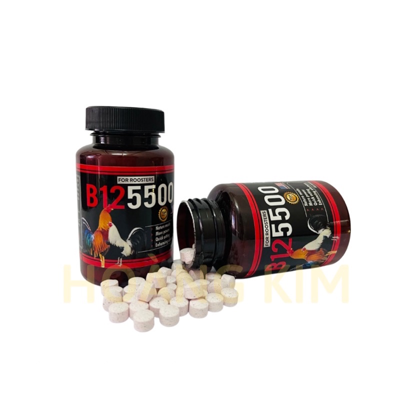 B12 5500 hộp 100 viên - Viên uống tăng nước máu cho gà đá