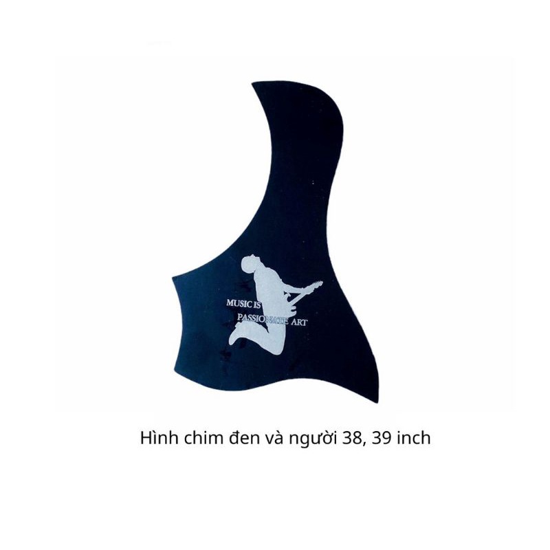 dán chống xước đàn guitar classic và acoustic