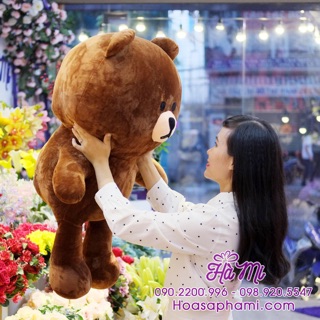 Gấu brown 1m2 hàng loại 1 (HÌNH THẬT - KHO HCM)