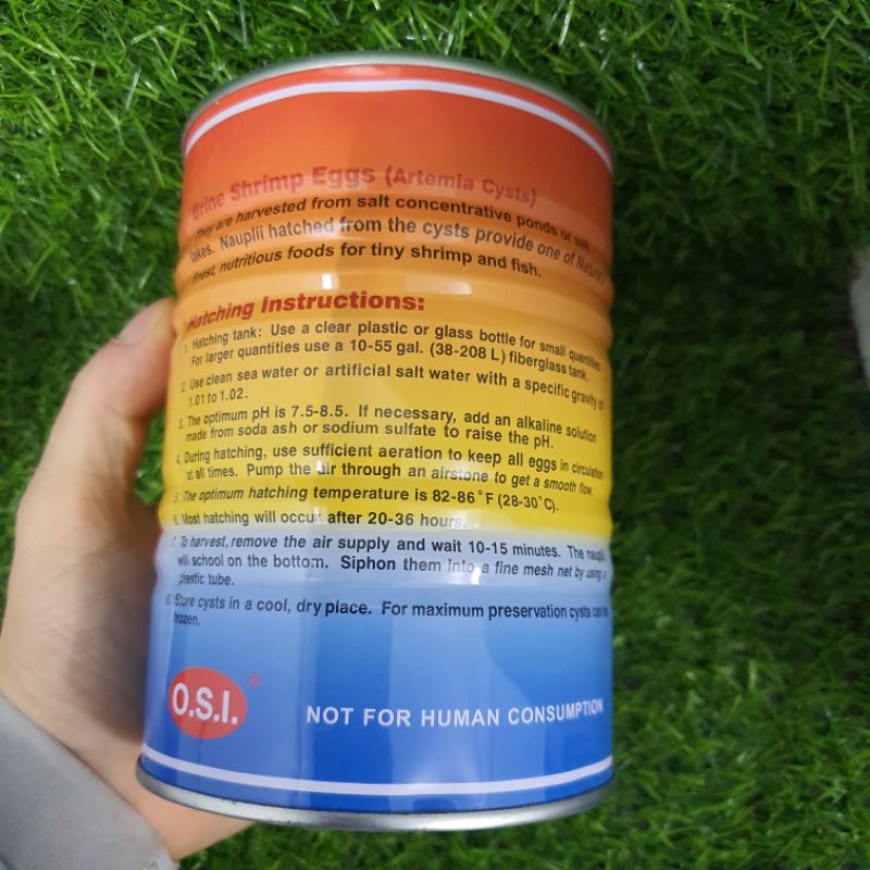 Artemia Mỹ Ấp Nở Loại 1 - Atermia Được Bảo Quản Siêu Tốt Tỉ Lệ Nở Cao 10G - 20G