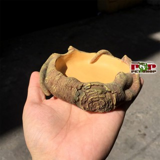 Bát ăn cho bò sát