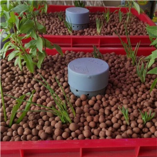 500gr sỏi nhẹ- đất sét nung trồng cây.