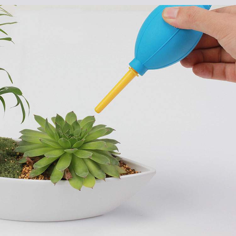 Bộ dụng cụ trồng sen đá 10 món - Vườn sen đá