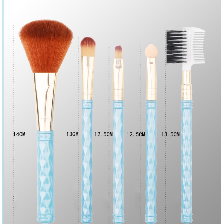 Set 5 Cọ Trang Điểm Chuyên Nghiệp
