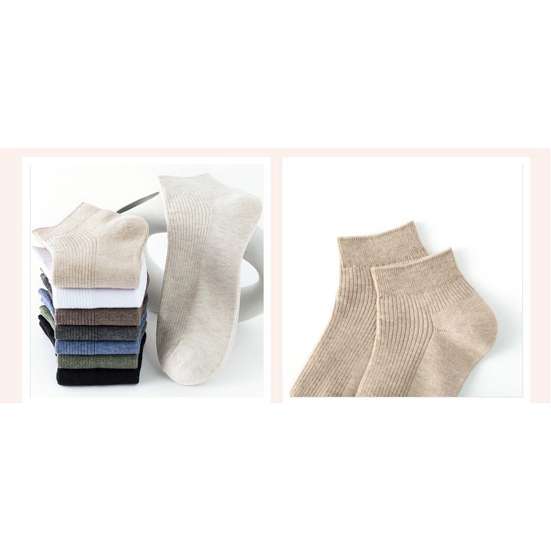 Tất cổ ngắn nam nữ vớ trơn gân 6 màu basic cotton kháng khuẩn thấm hút mô hôi tốt MONEY VN067