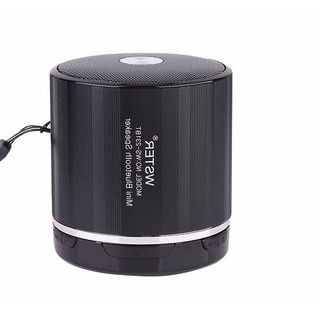 Loa bluetooth Wireless Speaker Sheel WS-230BT