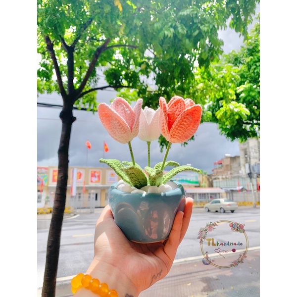 CHẬU HOA TULIP HANDMADE