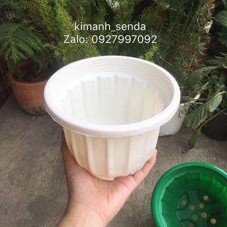 Chậu nhựa treo size 14cm