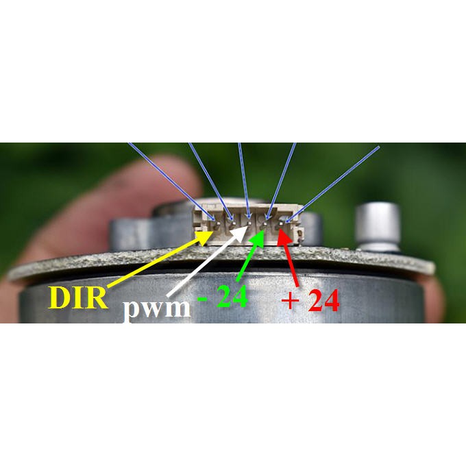 Động cơ không chổi than 24v