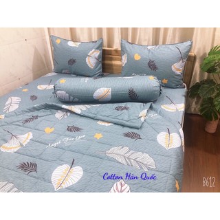 Drap cotton hàn quốc( bộ 4 món, 1 drap, 2 áo nằm, 1 áo ôm)