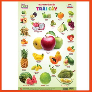 Bộ tranh treo tường học tập 12 chủ đề song ngữ cho bé