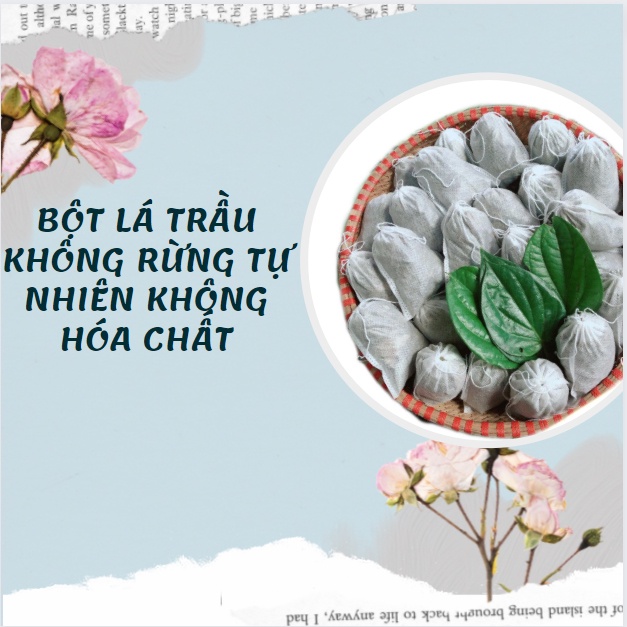 BỘT LÁ TRẦU KHÔNG RỪNG TỰ NHIÊN