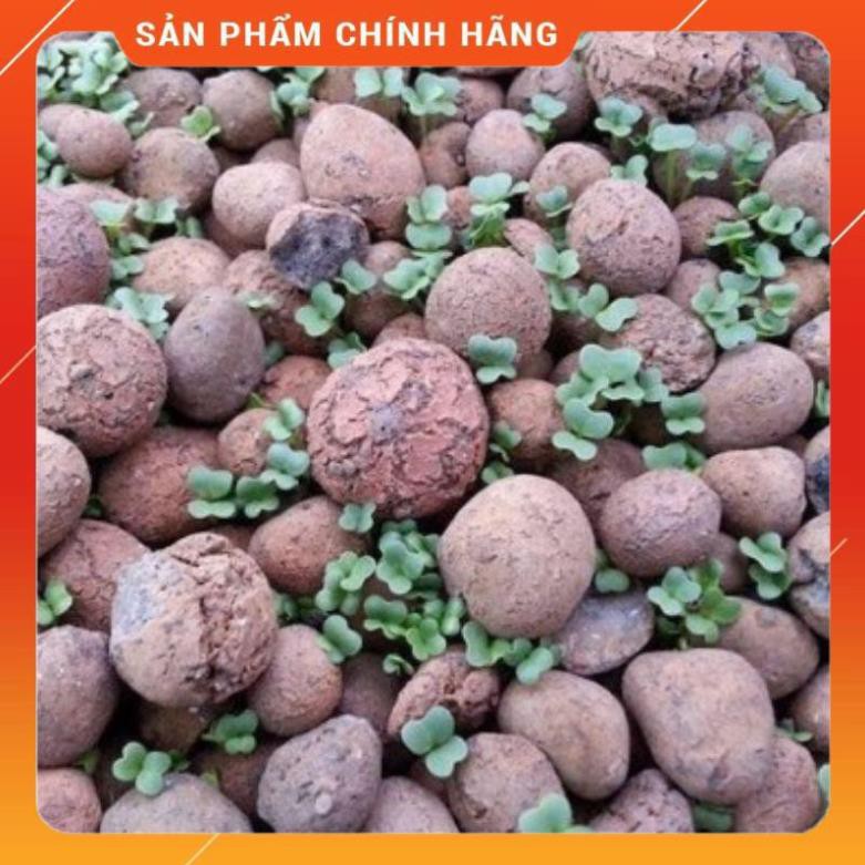 1kg đất nung (sỏi nhẹ) dùng để trồng hoa, cây cảnh.