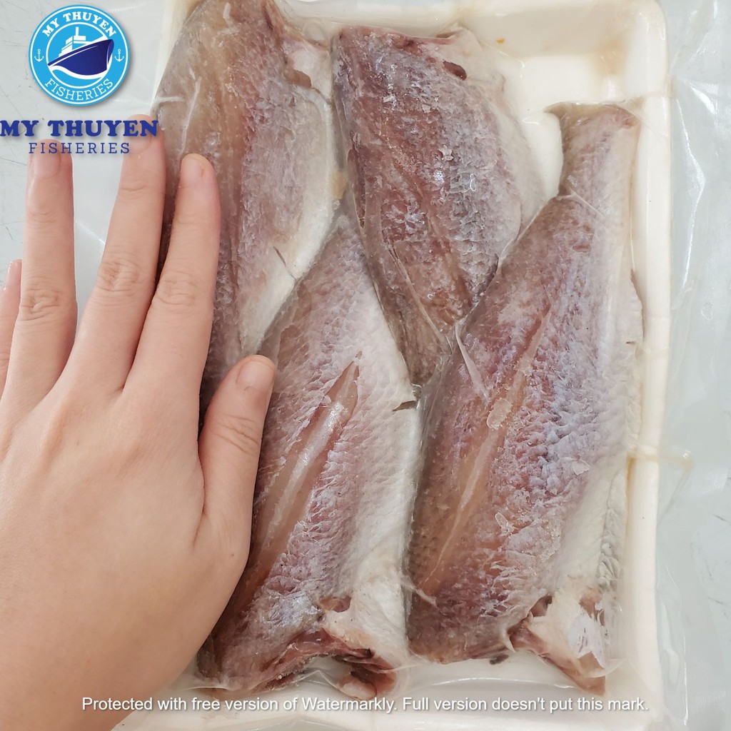 CÁ ĐÙ 1 NẮNG NGUYÊN CON MY THUYEN FISHERIES Cà Mau-Tươi Ngon Nhà làm- VỊ LẠT-Khay 500gr