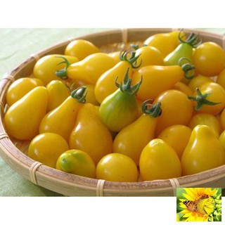 Hạt Giống Cà Chua Lê Vàng - 30 Hạt