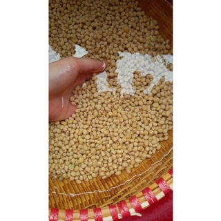 Ngũ cốc dinh dưỡng