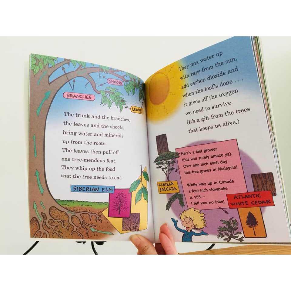 Bộ nhập 33q - Dr seuss + File Mp3