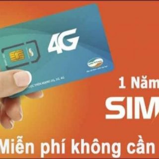 Sim 4g
