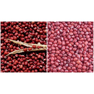 Đỗ đỏ hạt nhỏ túi bé 500G