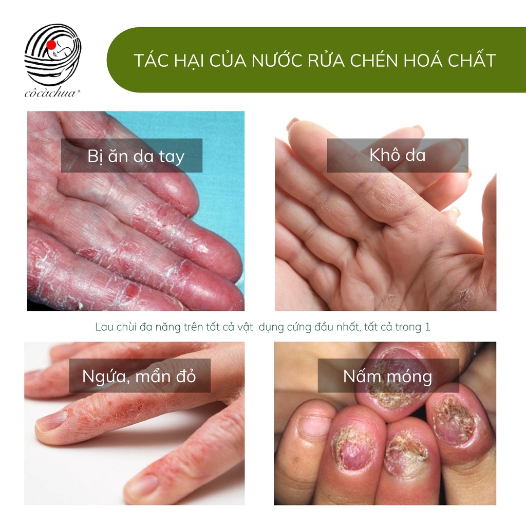 Nước Rửa Chén Bát Hữu Cơ Cô Cà Chua 3.8l Mới Toanh An Toàn Bảo Vệ Da Tay Hương Bạc Hà Và Oải Hương