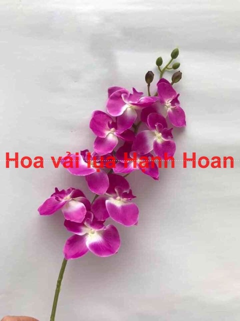 Hoa lan hồ điệp  9 bông cao cấp - Hoa giả cao cấp