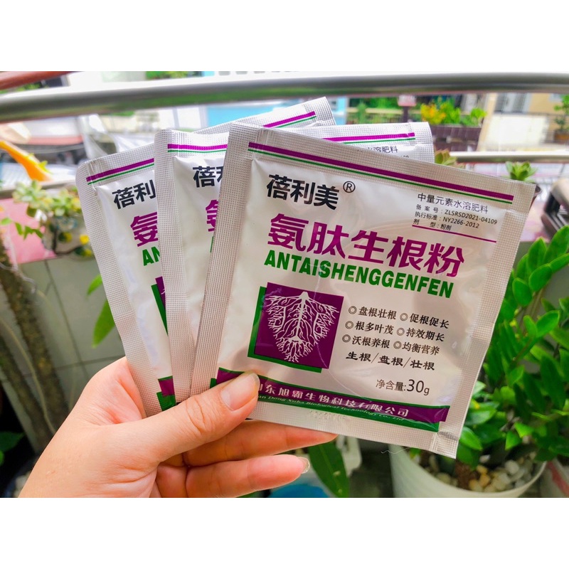 Gói kích rễ của Trung 30g