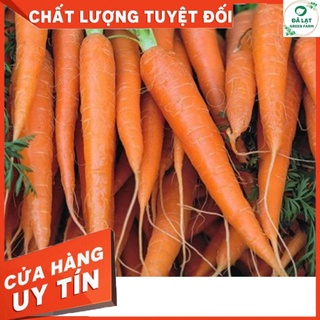 🥕HẠT GIỐNG CÀ RỐT F1_3GR🥕