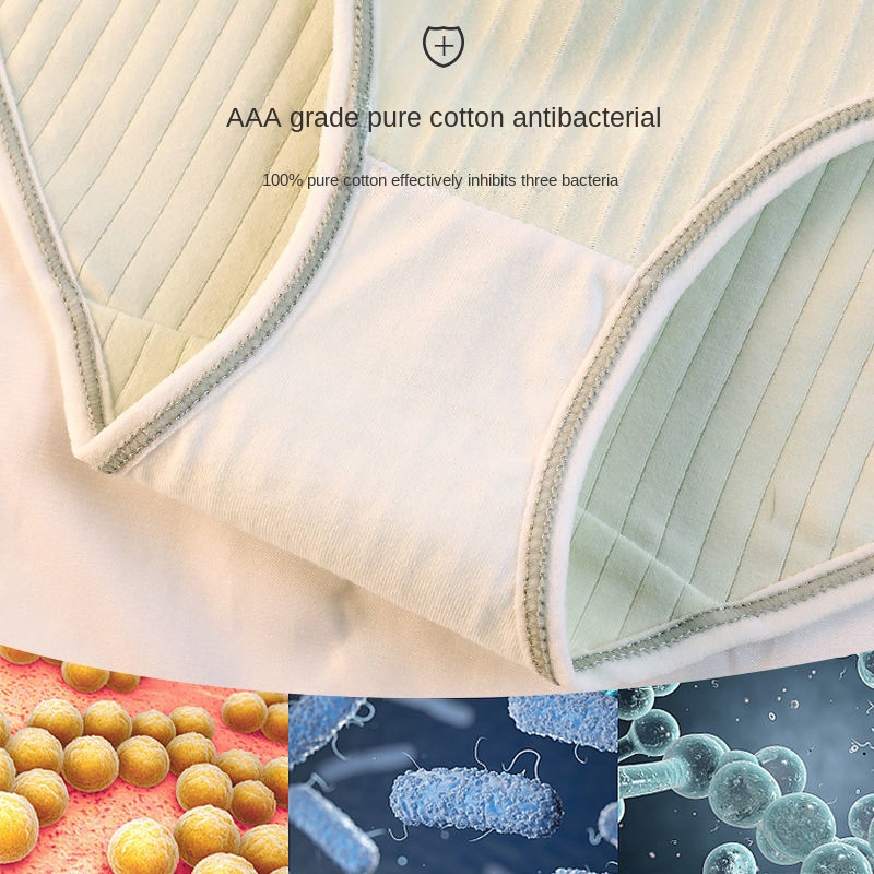 Quần Lót Cotton Lưng Vừa Thoáng Khí Kháng Khuẩn Thoải Mái Cho Nữ