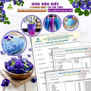 Trà túi lọc hoa đậu biếc