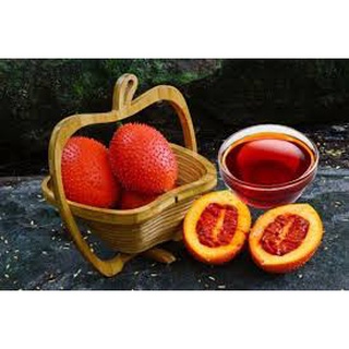 Dầu gấc nguyên chất - nguyên liệu làm mỹ phẩm