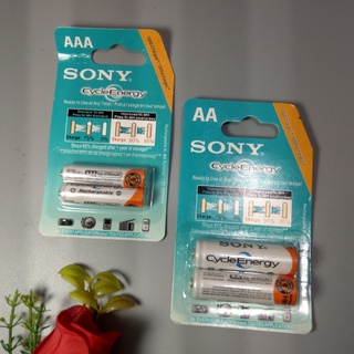 Bộ 2 pin sạc 2a-3a thương hiệu sony và palo - t0289
