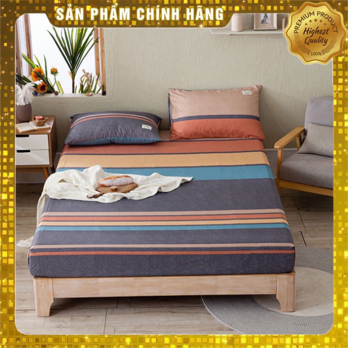 Set 3 món Bộ ga giường vỏ gối cotton tici họa tiết kẻ sọc chấm bi | BigBuy360 - bigbuy360.vn