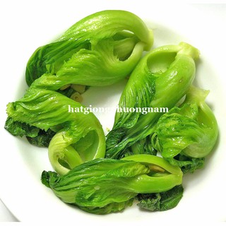 Hạt giống cải bẹ dưa