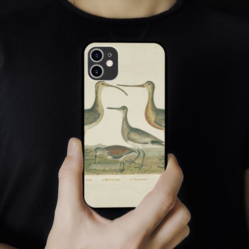 Ốp lưng iphone hình birdy collage art kinetic art sang chảnh  cho các dòng SAMSUNG PAP20210754