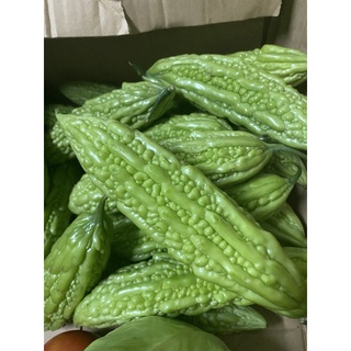 [ Tân Bình ] 500g Khổ qua tươi ĐÀ LẠT - Hàng mới thu hoạch