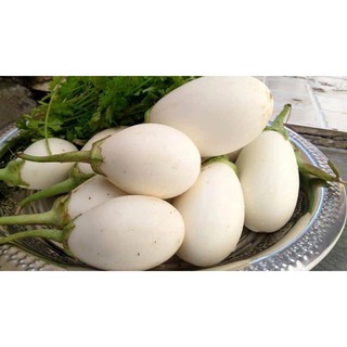 HẠT CÀ TRỨNG NGỖNG - GÓI 1 GRAM