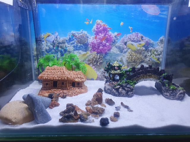 COMBO BỂ CÁ TRANG TRÍ SẴN NHÀ 29X18X18CM