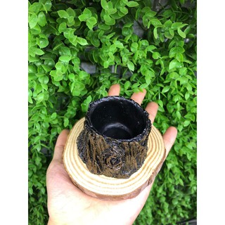chén ăn, chén nước hình gốc cây cho bò sát