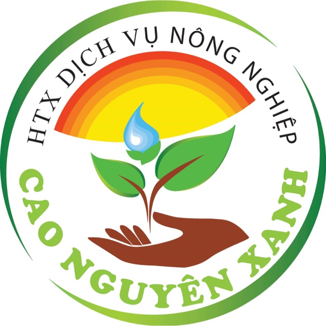 HTX DV-NN Cao Nguyên Xanh