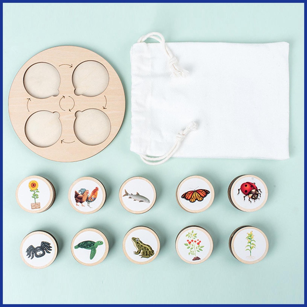 Bộ Đồ Chơi Xếp Hình Vòng Đời Của Đời Sống Bằng Gỗ Kèm Năm Ngăn Dành Cho Bé