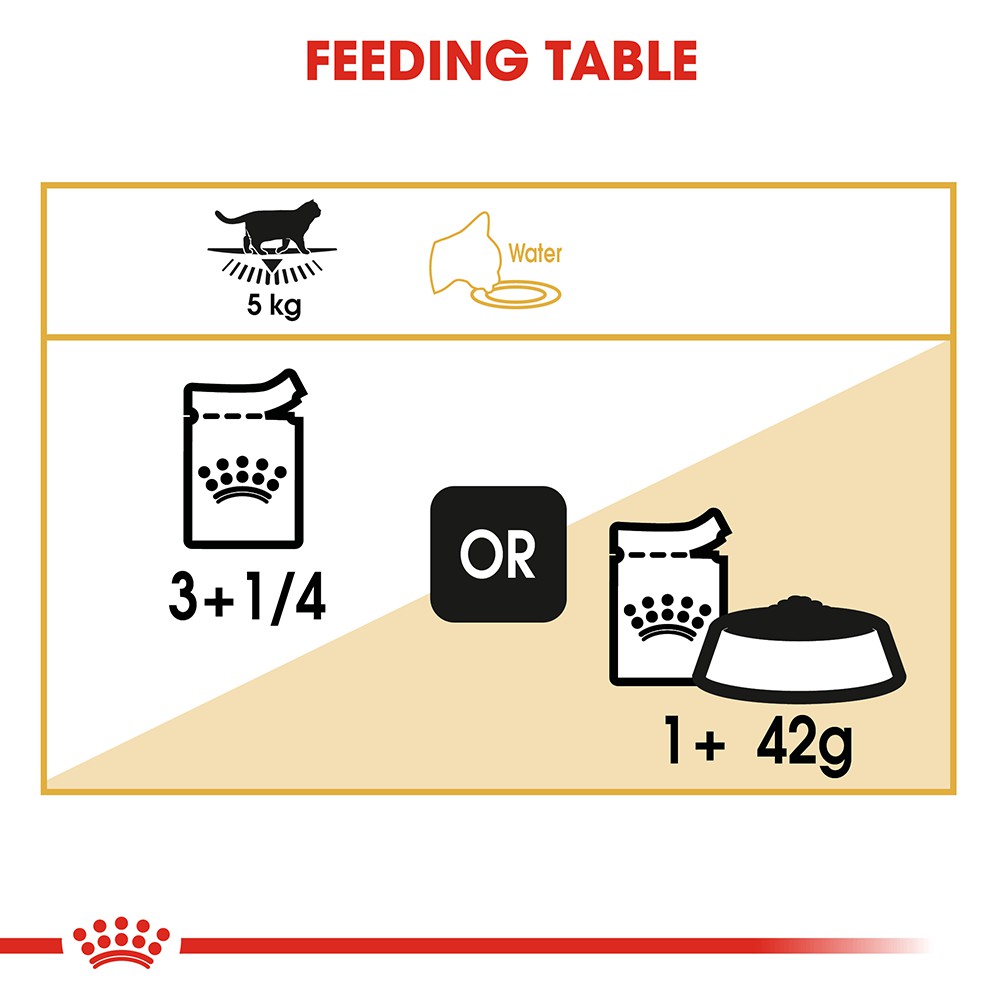 [Mã PET50 giảm 10% - tối đa 50K đơn 250K] [Hộp 12 Gói] Pate Cho Mèo Anh Lông Ngắn Lớn Royal Canin British Shorthair