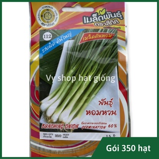Hạt giống hành lá Bunching cọng to Thái Lan nguyên gói 350 hạt