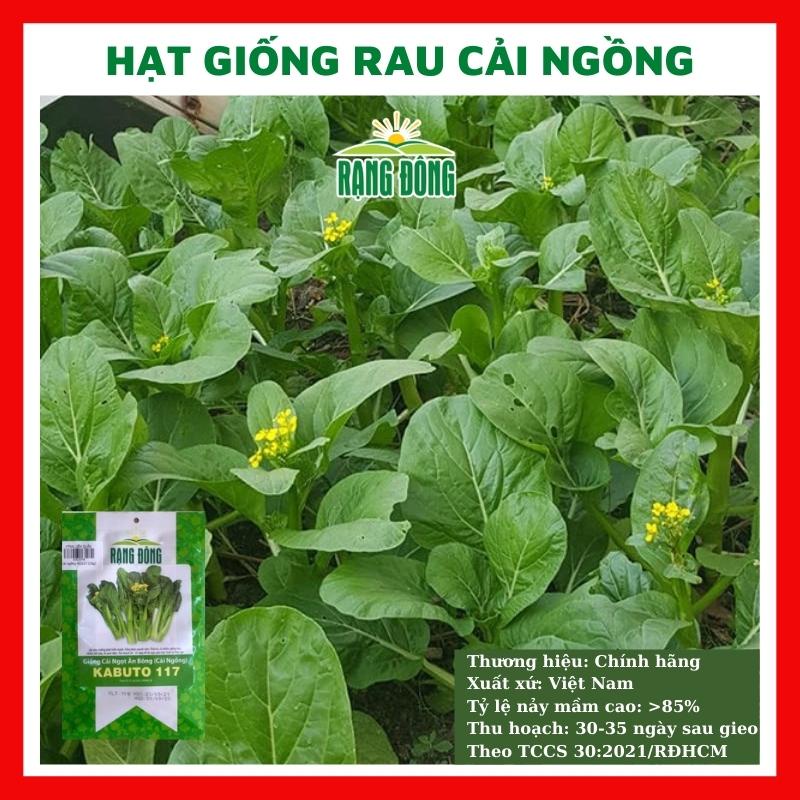 Hạt giống rau cải ngồng (cải ngọt ăn bông) - rau củ quả trồng chậu, vườn dễ chăm sóc tỉ lệ nảy mầm cao 10gr KABUTTO 117