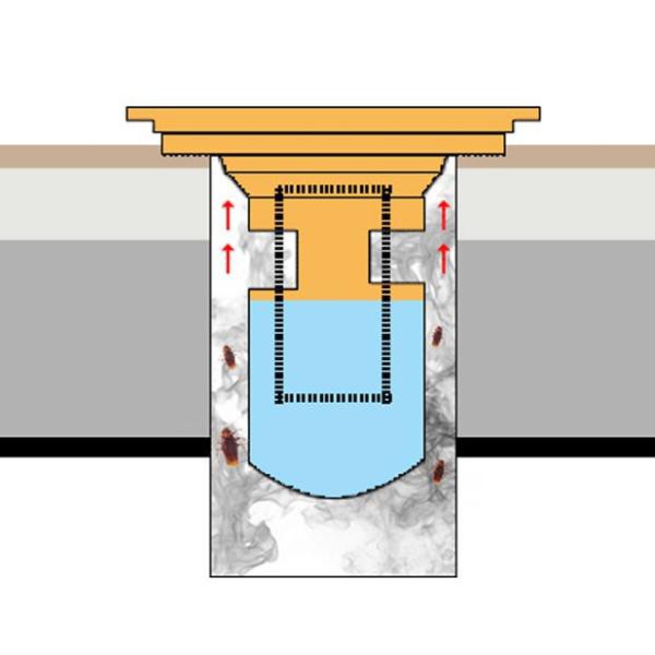 THOÁT SÀN NGĂN MÙI DAESUN- DS 516 (120x120) .