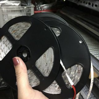 Dây led 3528 12v 5m/ cuộn chống nước