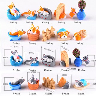 Mô hình chó siêu quậy đi biển, stellariva