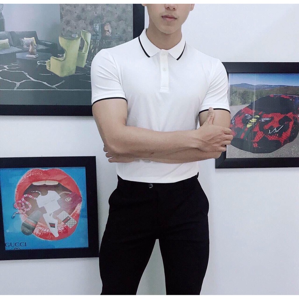 Áo Polo Nam cất liệu da cá dáng đẹp | BigBuy360 - bigbuy360.vn
