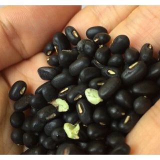 Đậu đen xanh lòng Nam Định (sỉ sl)