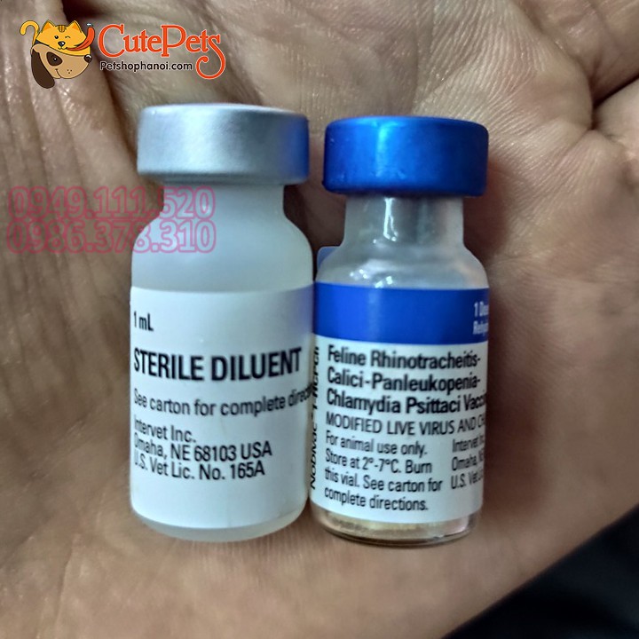 Mèo 4 trong 1 - Phụ kiện thú cưng Hà Nội