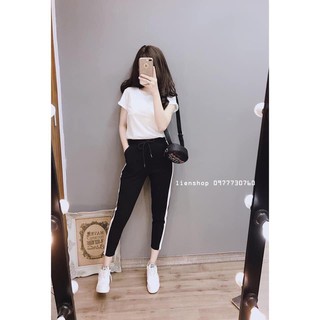 [Có Bigsize] Quần Legging Chất Cotton (1 sọc, 2 sọc, 3 sọc) Dáng Thể Thao Thoitrangmoon